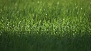 洒水车在房子附近洒下一片绿色的草坪.. 生活方式浇草喷头